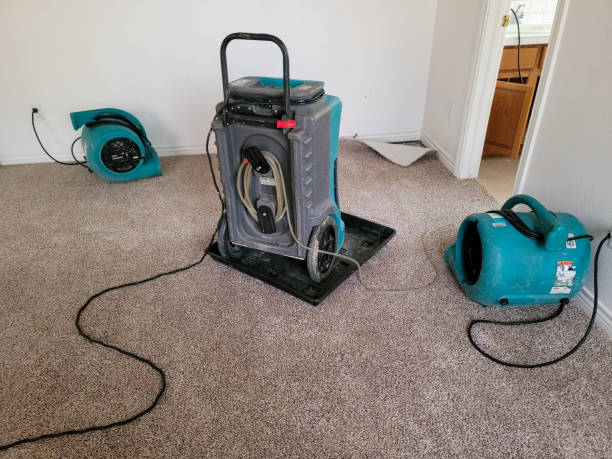 Best Commercial water damage restoration  in Orlinda, TN