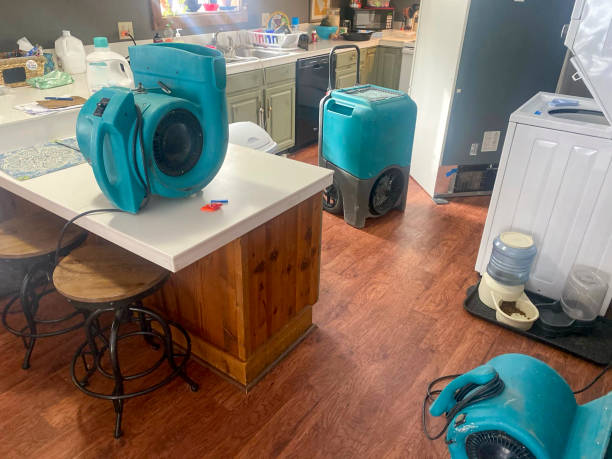 Best Carpet water damage restoration  in Orlinda, TN