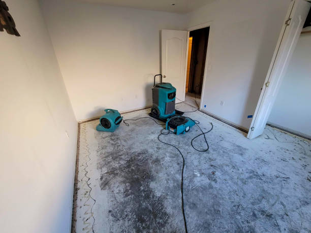 Best 24/7 water damage repair  in Orlinda, TN