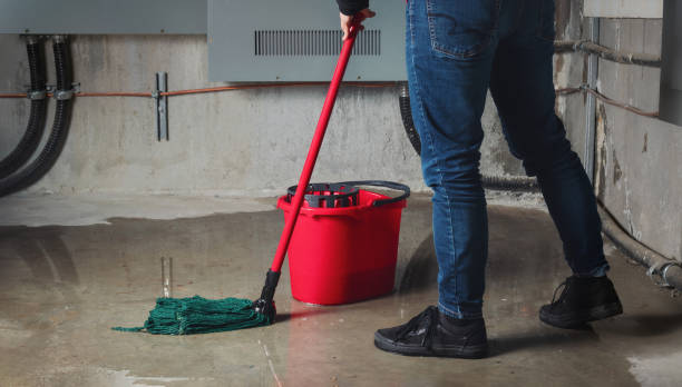 Best Fire Damage Restoration  in Orlinda, TN