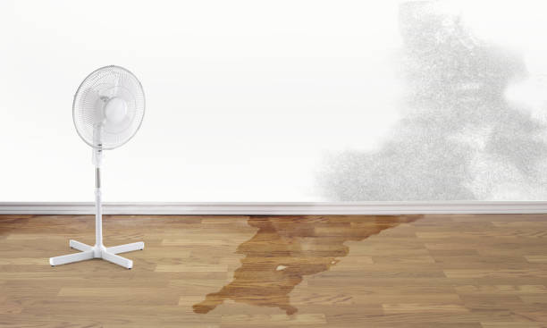 Best Emergency water damage restoration  in Orlinda, TN