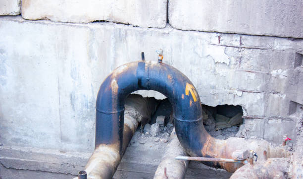Best Water damage restoration process  in Orlinda, TN